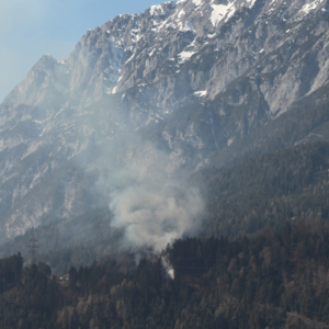 waldbrand3 Kopie